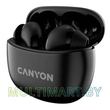 Наушники Canyon CNS-TWS5B